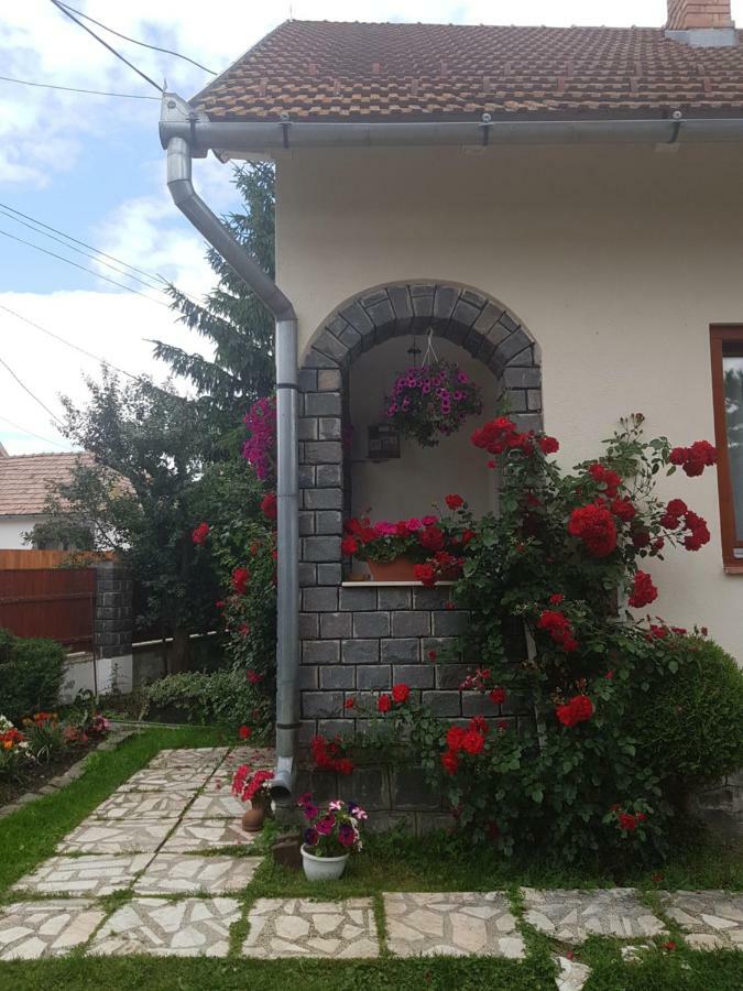 Rita Vendeghaz Apartment Ciumani Exterior photo
